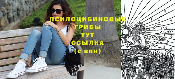 молекула духа Киреевск