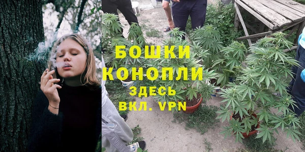 молекула духа Киреевск