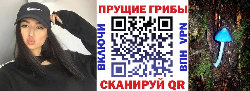 Галлюциногенные грибы Psilocybe  Купить закладки  Горячий Ключ 
