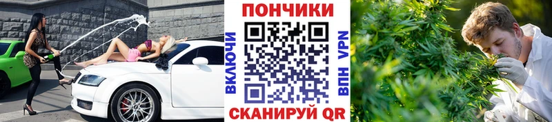 Конопля White Widow  Купить закладки  Горячий Ключ 